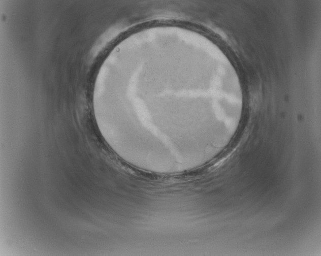 X0000079341263200612151859