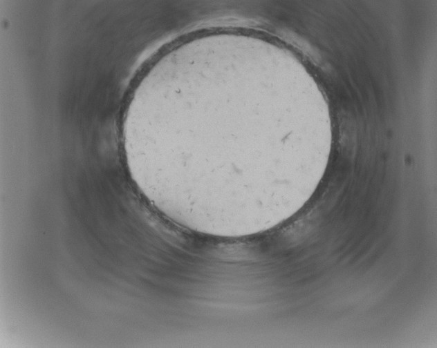 X0000079341264200612151859