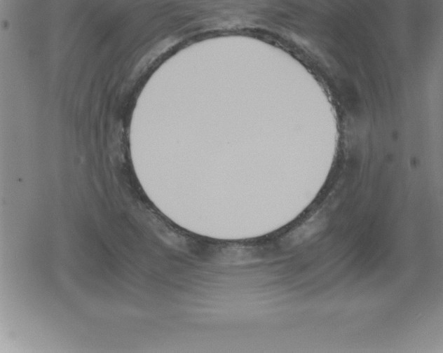 X0000079341265200612151859