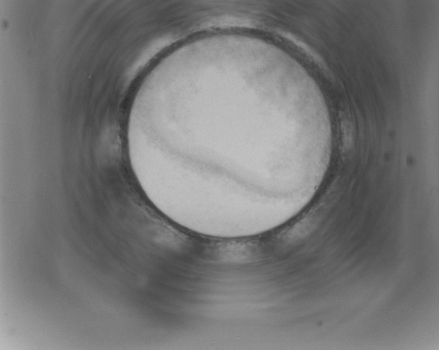 X0000079341266200612151859