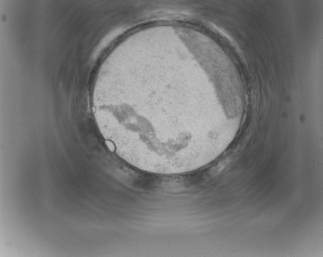 X0000079341267200612151859