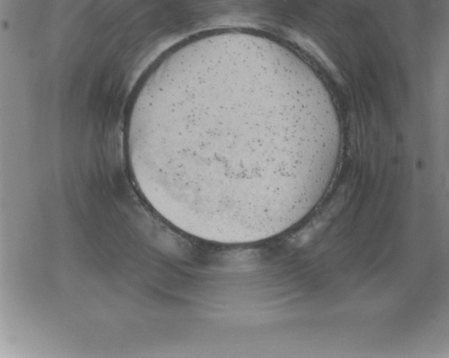 X0000079341268200612151859