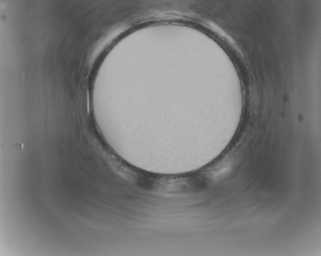 X0000079341269200612151859