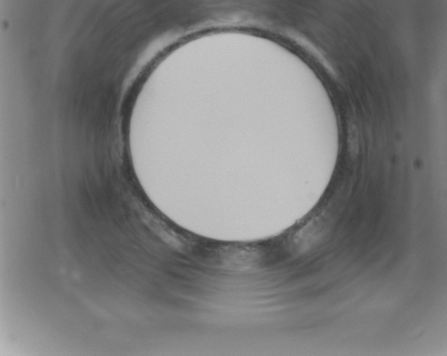 X0000079341270200612151859