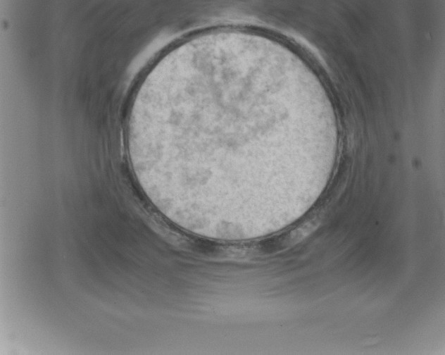 X0000079341271200612151859