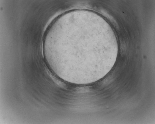 X0000079341272200612151859