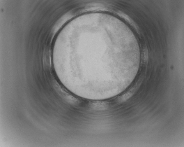 X0000079341274200612151859