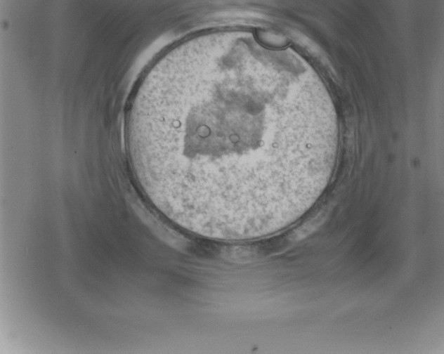 X0000079341275200612151859