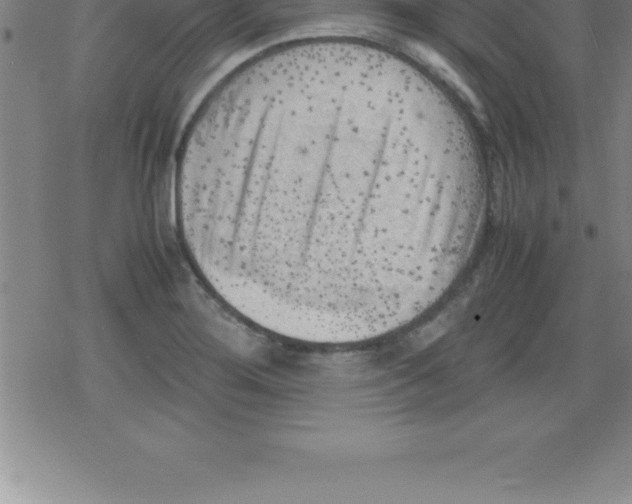 X0000079341276200612151859