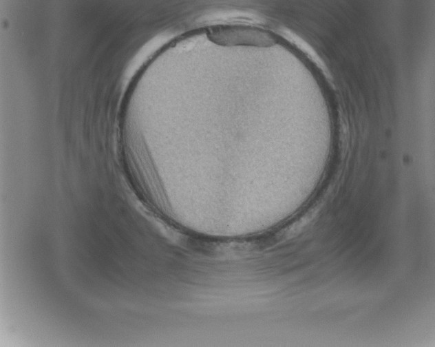 X0000079341277200612151858