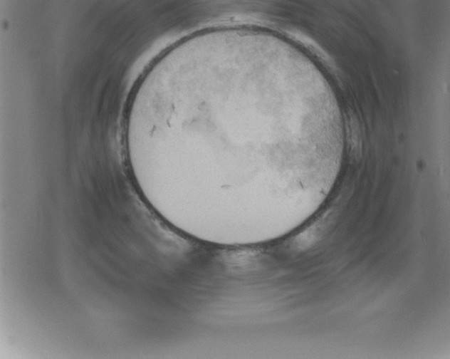 X0000079341278200612151858