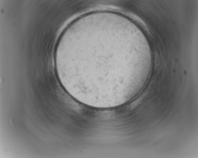 X0000079341280200612151858