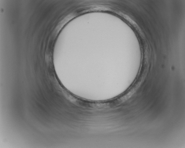 X0000079341281200612151858