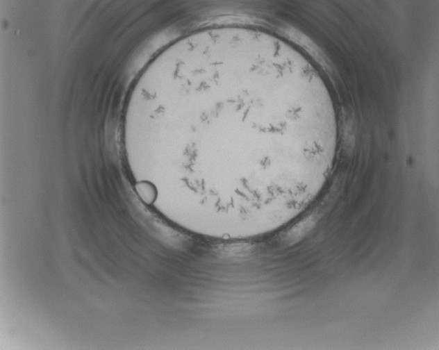 X0000079341282200612151858