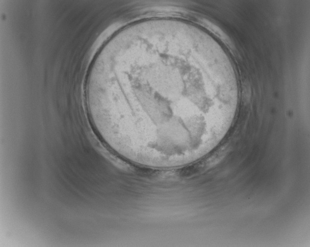 X0000079341283200612151858