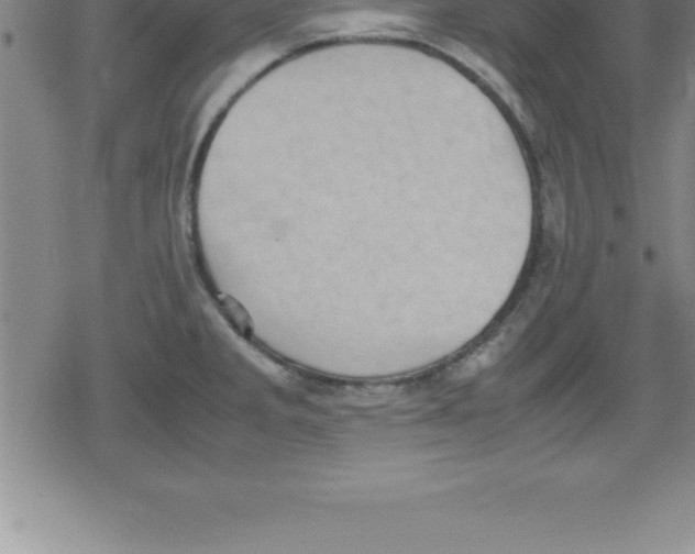 X0000079341285200612151858