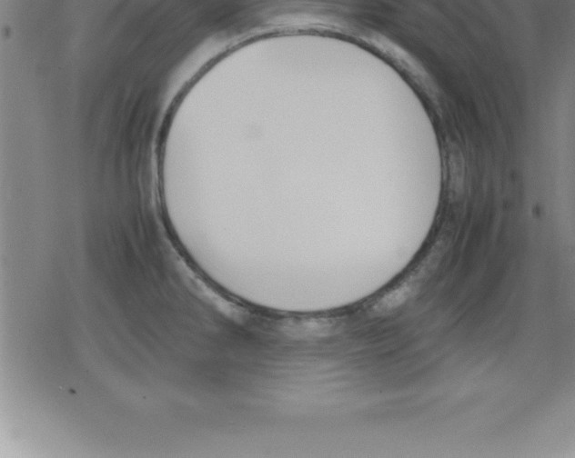 X0000079341286200612151858