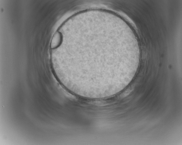 X0000079341287200612151858