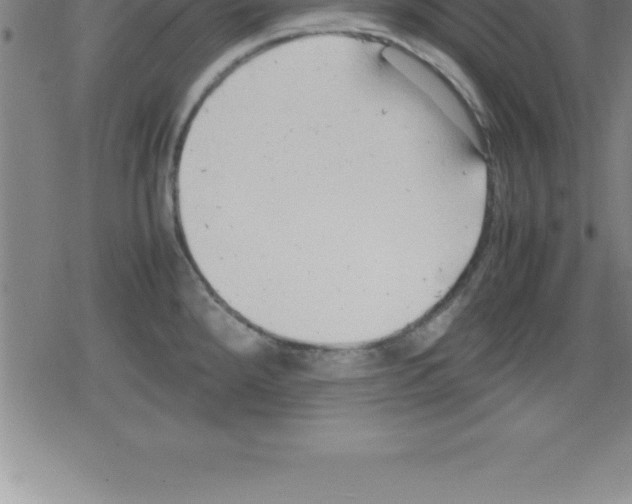 X0000079341288200612151858