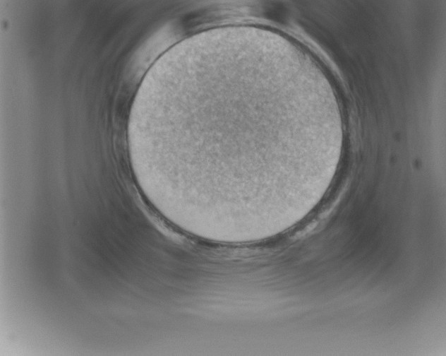 X0000079341289200612151858