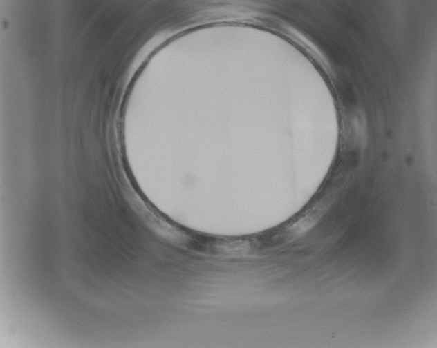 X0000079341291200612151858