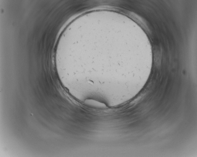 X0000079341292200612151858