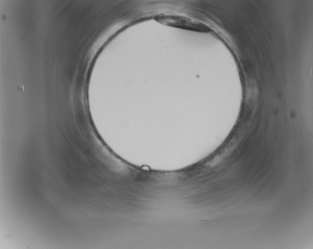 X0000079341293200612151858