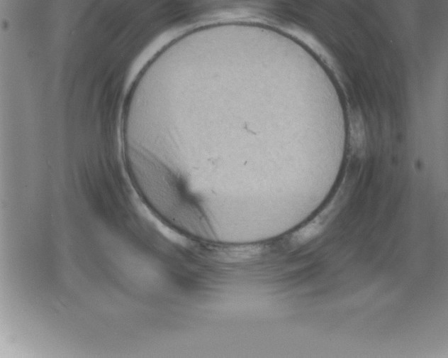 X0000079341294200612151858