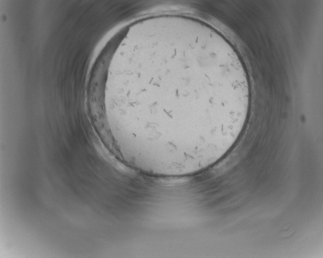 X0000079341296200612151858