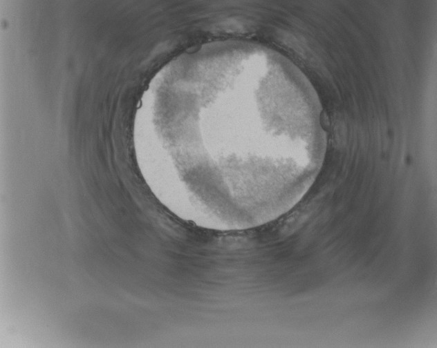 X0000079341297200612151857