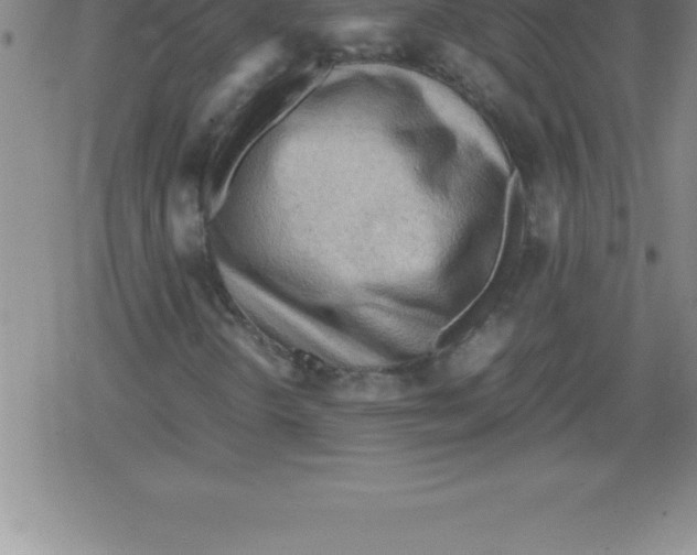 X0000079341298200612151857