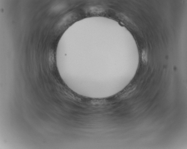 X0000079341299200612151857