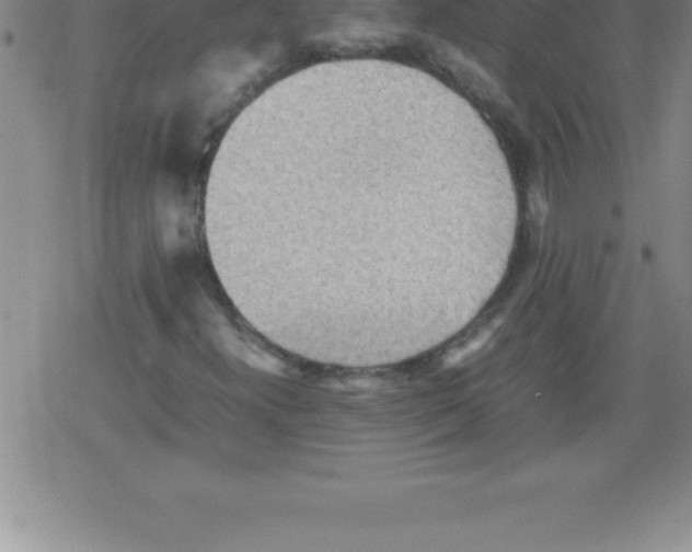 X0000079341300200612151857