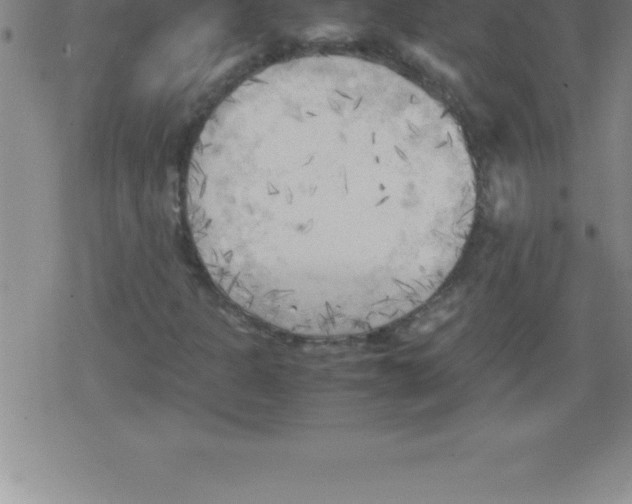 X0000079341301200612151857