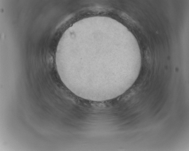 X0000079341302200612151857