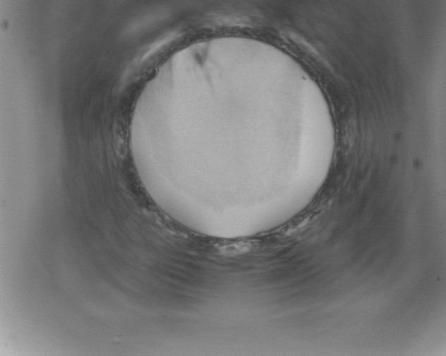 X0000079341303200612151858