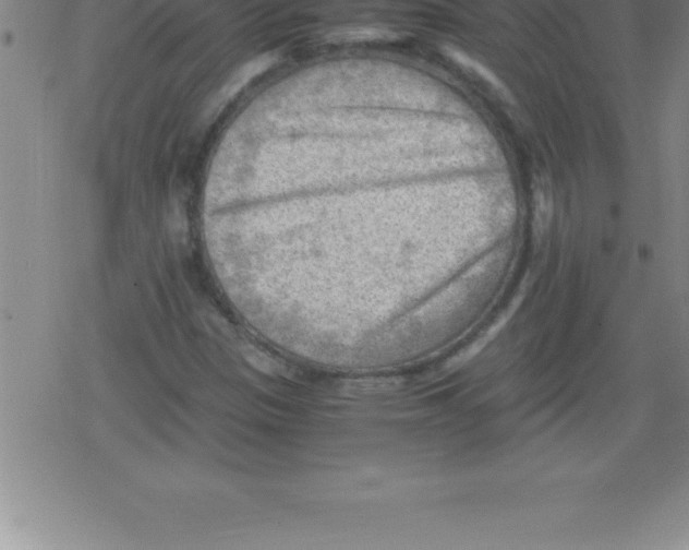 X0000079341305200612151858