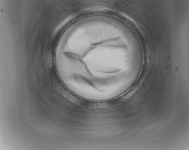 X0000079341306200612151858