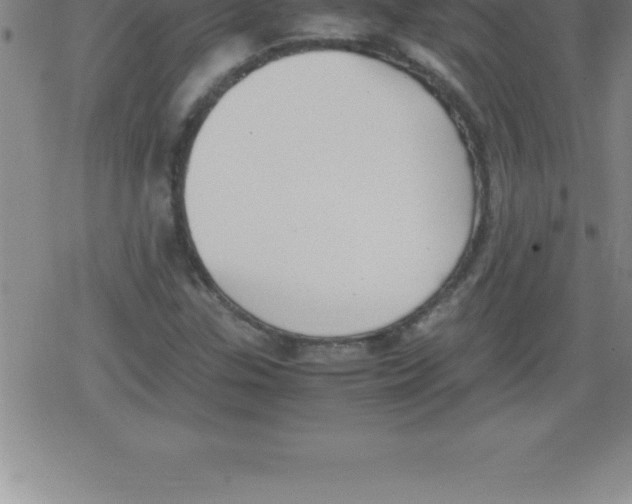 X0000079341307200612151858