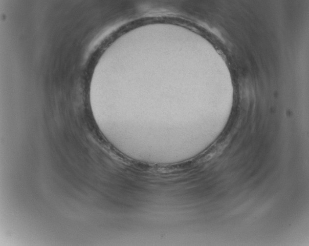 X0000079341311200612151858