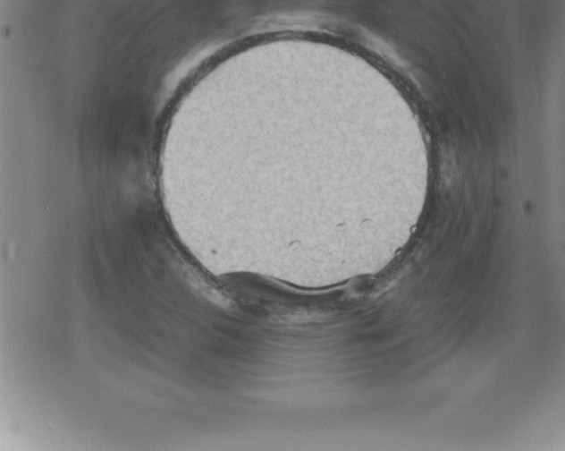 X0000079341312200612151858