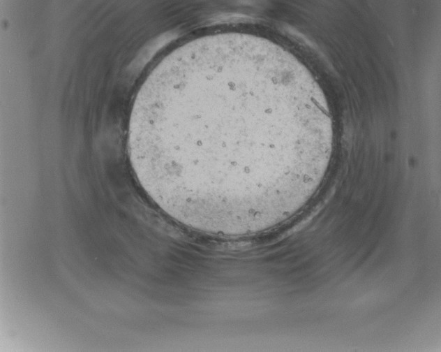 X0000079341313200612151858