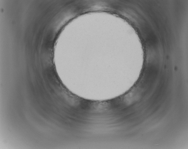 X0000079341314200612151858