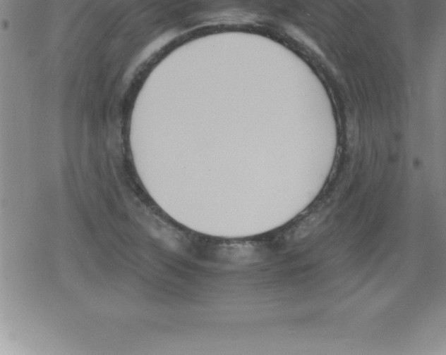 X0000079341315200612151858