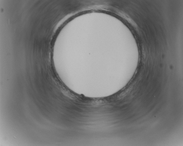 X0000079341316200612151858