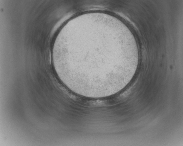 X0000079341317200612151858