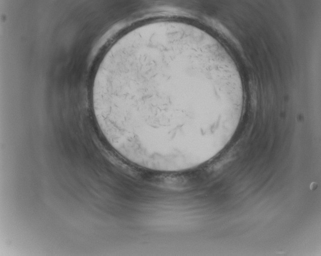 X0000079341318200612151858