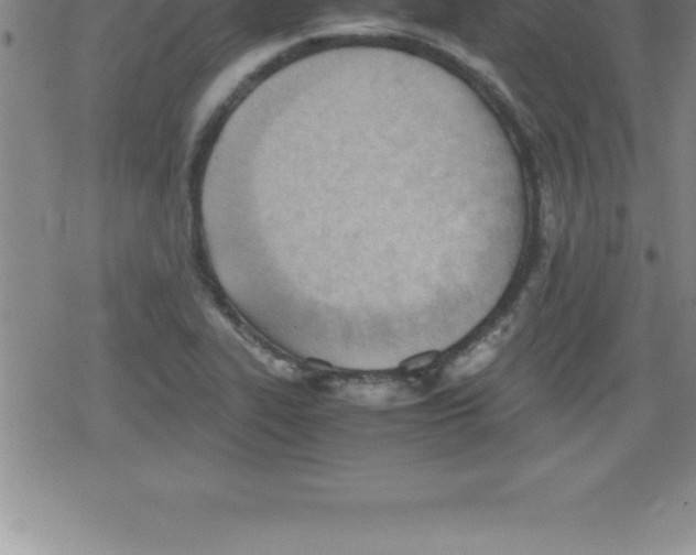 X0000079341319200612151858