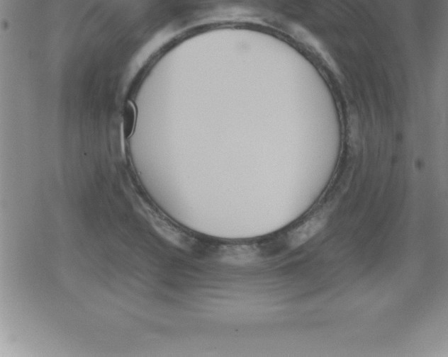 X0000079341320200612151858