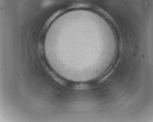 X0000079341321200612151858